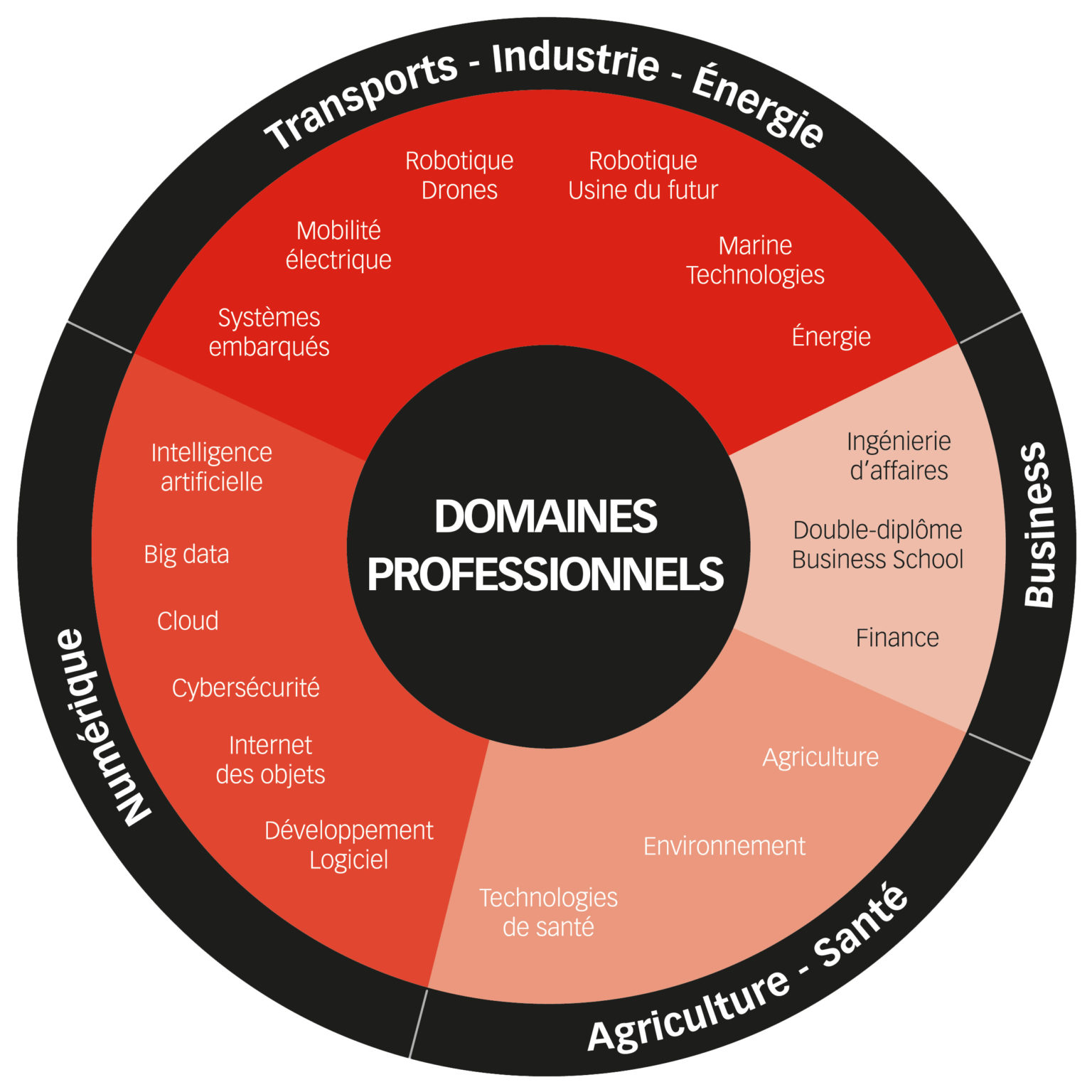 Domaines Professionnels Années 4 Et 5 Grande école Dingénieurs à